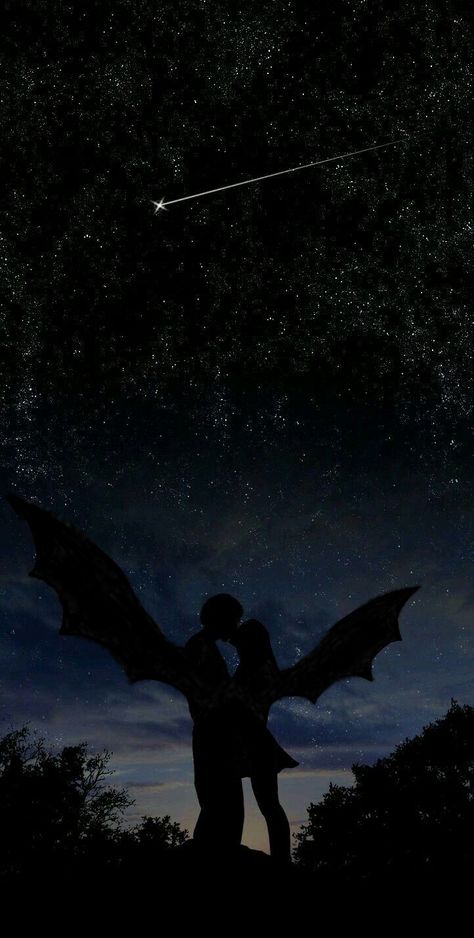 Two male and female bat-winged lovers embracing under the stars. A shooting star passes above them as they kiss. The female is wearing a skirt, her long hair down and flowing down her back. Her wings are smaller than his, matching her height and body mass. She reaches up in her tippy toes to kiss him as he bends down to her height. Disney Canvas Art, Roses Book, Feyre And Rhysand, Court Of Thorns And Roses, Book Wallpaper, A Court Of Mist And Fury, Look At The Stars, Fantasy Aesthetic, Fantasy Novels