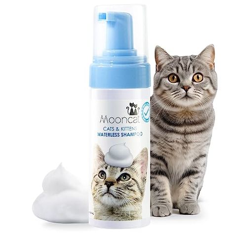 Cat Shampoo, Cat Bath, Types Of Cats, Cute Little Kittens, Natural Cat, Cat Travel, Indoor Cat, Cat Care, Paraben Free