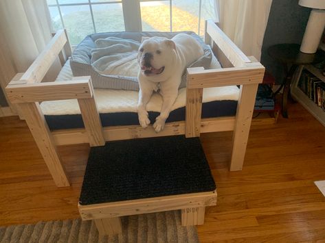 Dog Bed Loft, Diy Dog Loft Bed, Dog Loft Bed, Tall Dog Bed, Diy Raised Dog Bed, Raised Wooden Dog Bed, Diy Elevated Dog Bed, Dog Bunk Beds, Raised Dog Bed