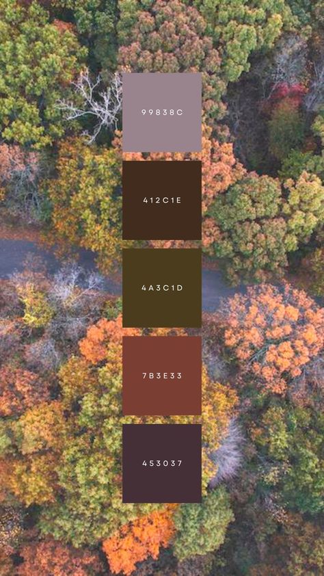 Fall foliage with colors to choose from. Whimsical Fall Wedding Colors, Navy Wedding Color Schemes, Fall Wedding Colors October Colour Palettes, Fall Wedding On A Budget, Desert Casita, Plum Wedding Colors, Autumn Elements, Earth Tone Wedding, Budget Weddings