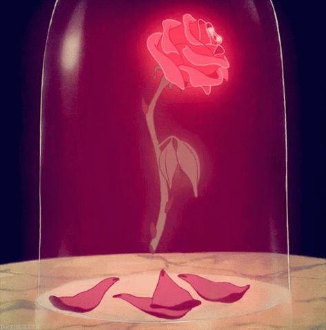 Disney Rose GIF - Disney Rose BeautyAndTheBeast - Discover & Share GIFs Wallpaper Rosa, Rosé Gif, Beauty And The Beast Movie, Tattoo Rose, Beauty Hacks Video, Trendy Tattoos, Foot Tattoos, Beauty Room, Rose Tattoos