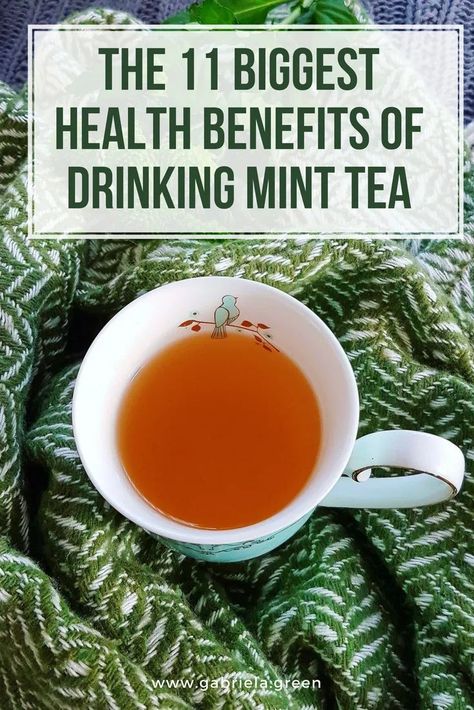 The 11 Biggest Health Benefits Of Drinking Mint Tea  Mint is a popular herb and it is used as a tea or a spice in the kitchen, fresh or dried. The health benefits of drinking mint tea are various - it can help improving digestion, fighting colds and coughs, reducing headaches, bad breath. #tea - Gabriela Green Mint Tea Benefits, Lemon Tea Benefits, Mint Benefits, Peppermint Tea Benefits, Ginger Tea Benefits, Fresh Mint Tea, Homemade Tea, Tea Health Benefits, Health Tea