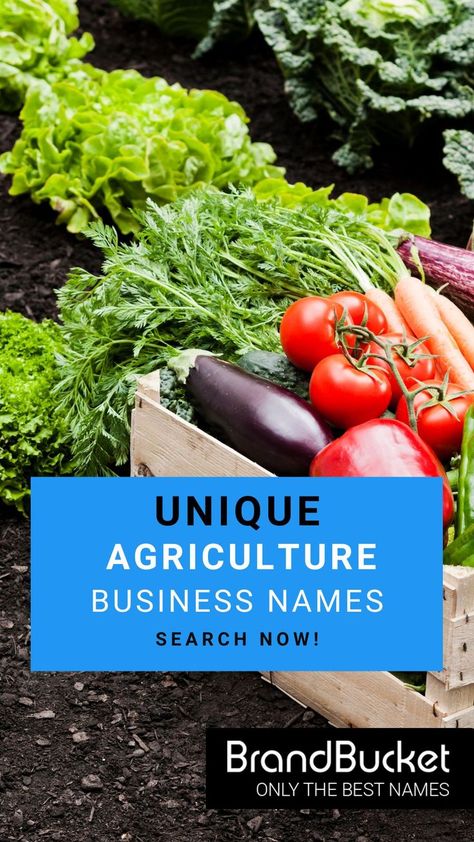 Do you need a catchy and memorable name for your agriculture & farming business? We have thousands! Choose a premium brandable name here! farming business ideas, catchy business name, premium domain names, business name generator, agriculture business ideas, cool startup name, cool name, need a cool name, cool business names, cool business names, business naming, farming branding Agriculture Business Plan, Agriculture Pictures, Agriculture Photography, Agriculture Photos, Business Name Generator, Make Your Own Shoes, Agriculture Business, Green Name, Farming Business