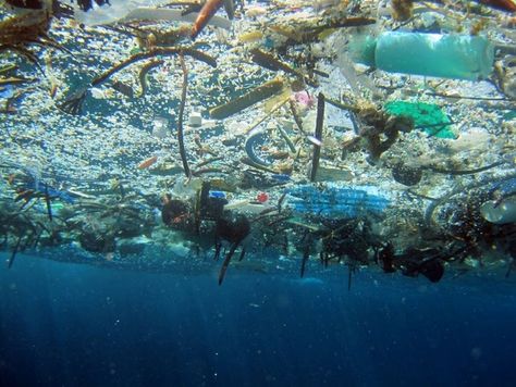 There Are At Least 5.25 Trillion Pieces of Plastic in the Ocean Great Pacific Garbage Patch, Ocean Cleanup, Marine Debris, Ocean Pollution, Save Our Oceans, Art Appliqué, Oceans Of The World, Our Environment, Davos