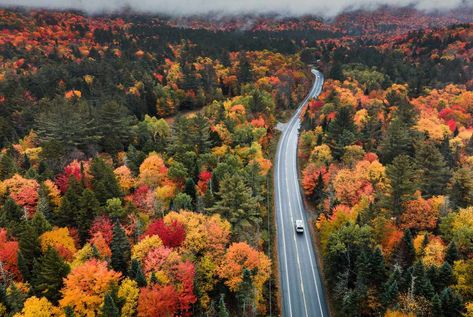 RV Rentals: Explore the Open Road in Comfort | Outdoorsy Things To Do In Maine, Fall Foliage Road Trips, Nature And Flowers, Road Trip Places, Fall Road Trip, Scenic Railroads, American Lifestyle, New England Fall, Rv Rental