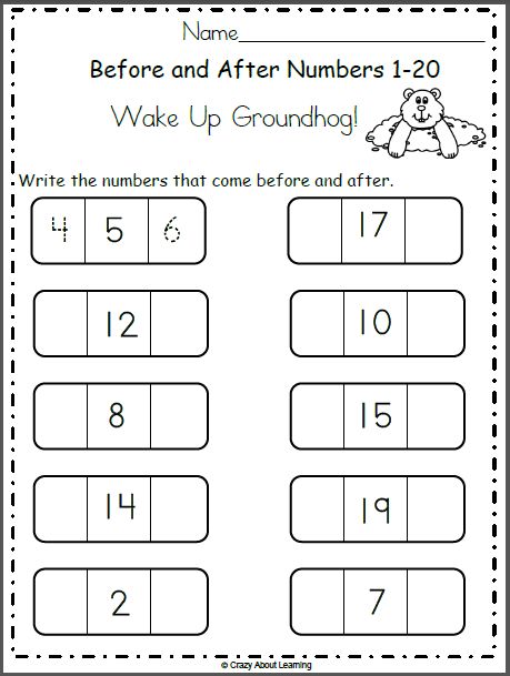 Free Groundhog Day math worksheet for preschool and kindergarten.  Students write the numbers that come before and after.  This is a fun February activity for learning and reviewing numbers.  This worksheet provides practice with numbers between 1 to 20. Snowball Math, Groundhog Day Math, Number Recognition Worksheets, Kindergarten Math Free, Kindergarten Math Worksheets Free, Preschool Math Worksheets, Montessori Preschool, Kids Math Worksheets, Kindergarten Math Worksheets