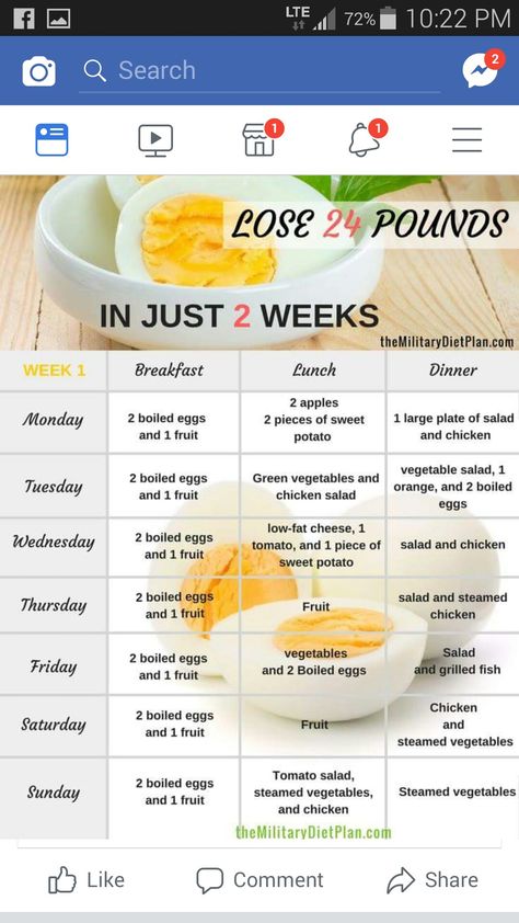 One Week Diet Plan, Importance Of Exercise, One Week Diet, Meal Guide, Oatmeal Diet, Weight Watchers Meal Plans, Motivasi Diet, Week Diet Plan, Low Fat Cheese