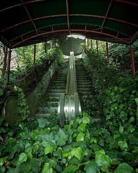 Overgrown outdoor mall - By @espinas3 - #allabandoned #abandoned #abandonedplaces #abandoned_af #abandon #abandoned_places… Abandoned Malls, Abandoned Cities, Apocalypse Aesthetic, Abandoned Buildings, Unique Photo, Nature Aesthetic, Pretty Places, Post Apocalyptic, Green Aesthetic