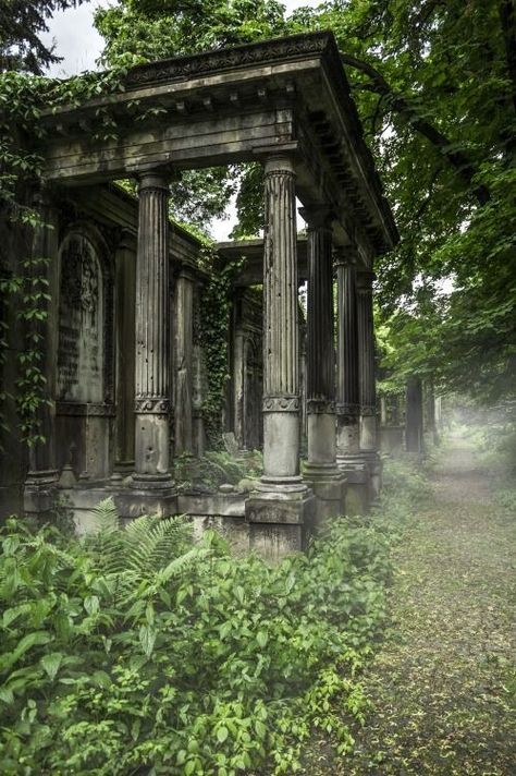 Overgrown Temple, Beautiful Ruins, Abandoned Mansions, Abandoned Buildings, 판타지 아트, Alam Yang Indah, Abandoned Houses, Beautiful Architecture, Magical Places