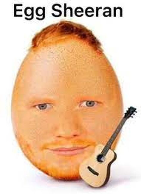 Egg. Sheeran Egg Sheeran, Ed Shiran, Ed Sheeran Memes, Ed Sheeran Facts, Photoshopped Animals, Ed Sheeran Love, Funny Effects, Funny Eggs, Funny Dp