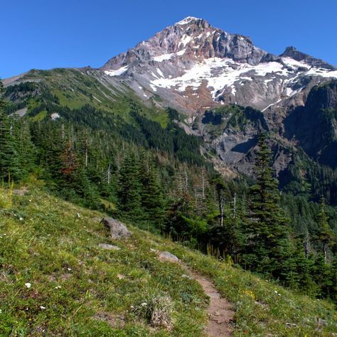 Hikes In Oregon, Oregon Coast Hikes, Oregon Forest, Visit Oregon, Ecola State Park, Oregon Hikes, Multnomah Falls, Mirror Lake, Walking Paths