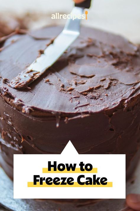 Freezing Cake With Icing, How To Freeze A Cake After Frosting, Cakes That Freeze Well, Freezing Cakes, Freeze Cake, Cake By The Slice, Frozen Pudding, Unfrosted Cake, Cake Varieties