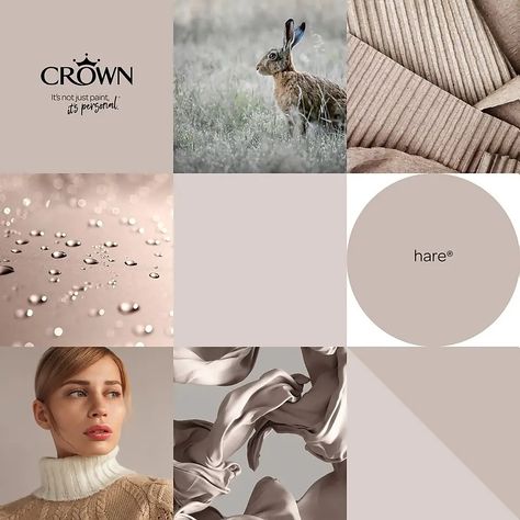 Hare Crown Paint, Colour Schemes Bathroom, Crown Paint Colours, Stair Landing Decor, Crown Paint, Warm Grey Paint Colors, Ivy Cottage, Hall Painting, Ceiling Paint