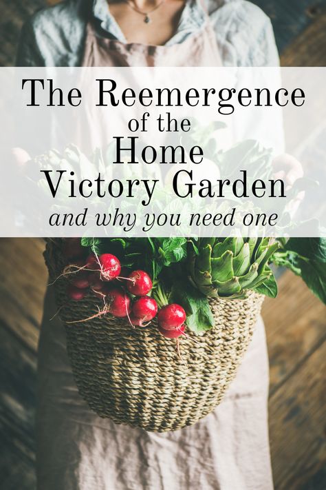 The reemergence of the Home Victory Garden and you NEED one, how to get started, and how to keep it going! Victory Garden Plans For Family Of 6, Victory Garden Layout, Victory Garden Plans, Victory Gardens, Keep It Going, Victory Garden, Veggie Patch, Charming Garden, Local Farm