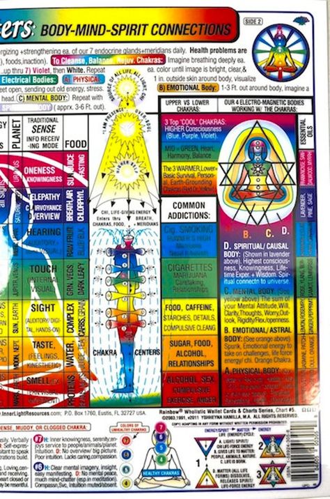 Center Chart, Chakra Chart, Chakra Healing Meditation, Chakra Health, Sacred Science, Body Map, Spirit Science, Energy Healing Spirituality, Emotional Body