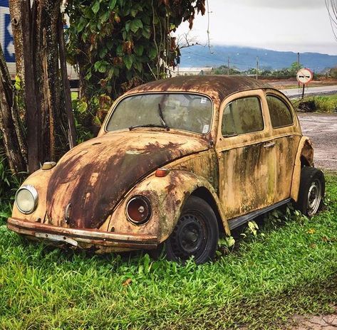 Rusty Cars Abandoned, Old Rusty Car, Mechanics Aesthetic, Bug Car, Rust In Peace, Gold Car, Classic Car Restoration, Beetle Car, Rusty Cars