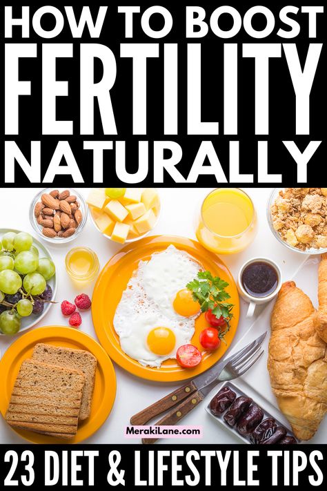 How to Get Pregnant Faster | If you want to know how to boost your fertility naturally so you can conceive quickly, this post has lots of tips and ideas to help. While it's impossible to know how long it will take you to get pregnant, knowing which foods to eat and avoid as well as which lifestyle habits to start and stop can increase your chances of getting pregnant. This post has lots of diet tips and healthy habits that will (hopefully) improve. your changes when trying to conceive! Healthy Foods To Help Get Pregnant, Clean Eating For Fertility, What To Eat To Get Pregnant, Diet For Getting Pregnant, Foods To Eat To Get Pregnant, Foods To Help Get Pregnant, Fertility Breakfast Ideas, Fertility Foods For Women, Diet To Get Pregnant