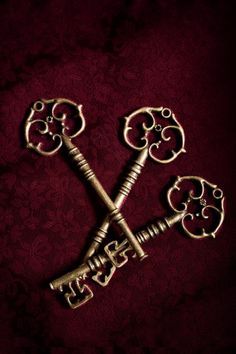 Maroon Aesthetic, Burgundy Aesthetic, Gryffindor Aesthetic, Harry Potter Disney, Golden Key, Old Keys, Hogwarts Aesthetic, Antique Keys, Harry Potter Aesthetic