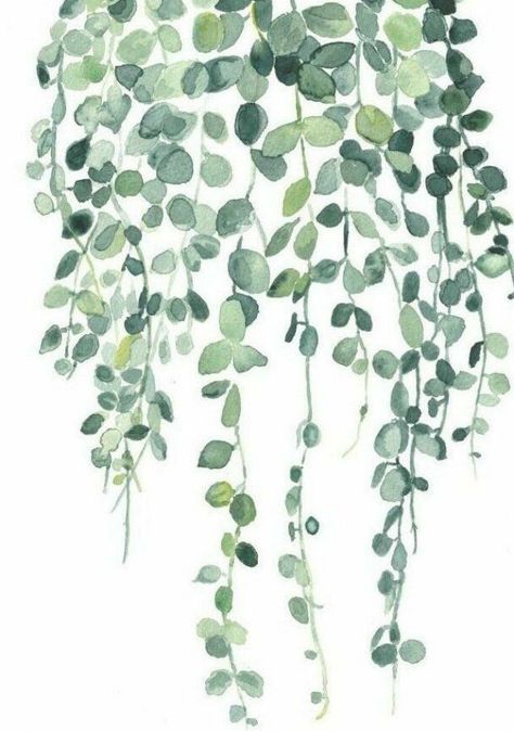 Watercolor Plants, Soyut Sanat Tabloları, Plant Wallpaper, Plant Aesthetic, Plant Painting, Watercolor Walls, Room With Plants, Watercolor Wall Art, Flowering Vines