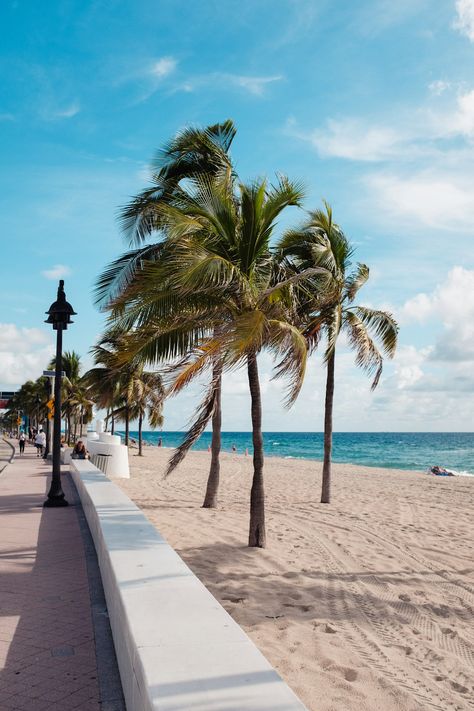 Weekend plans: beach mode activated. ☀️🌊 Fort Lauderdale’s got the vibes—who’s in? 🏖️ #LaudyLife #WeekendParadise . . . . .  Photo by Austin Hervias Fort Lauderdale Aesthetic, Fort Lauderdale Airport, Weekend Plans, Fort Lauderdale, Austin, Fort, How To Plan, Quick Saves