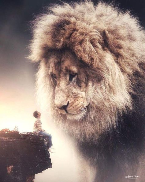 #yeshua #jesus #jezus Lion Of Judah Jesus, Regnul Animal, Giant Animals, Lion And Lamb, Lion Love, Lion Wallpaper, Lion Images, Surreal Photos, Tribe Of Judah