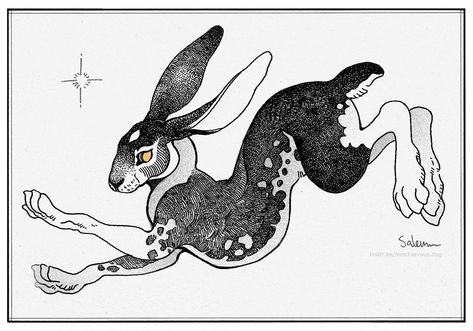 Hare Sketch, Rabbit Tattoos, Rabbit Art, Bunny Art, Creature Concept Art, Animal Sketches, White Rabbit, Art Plastique, Animal Drawings