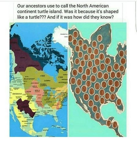 Our Ancestors Use to Call the North American Continent Turtle Island Was It Because It's Shaped Like a Turtle??? And if It Was How Did They Know? OO | Meme on ME.ME Turtle Island Indigenous, Island Tattoo, Indigenous Knowledge, Turtle Island, Indigenous Americans, American Continent, Arm Band Tattoo, Island Map, Turtle Shell