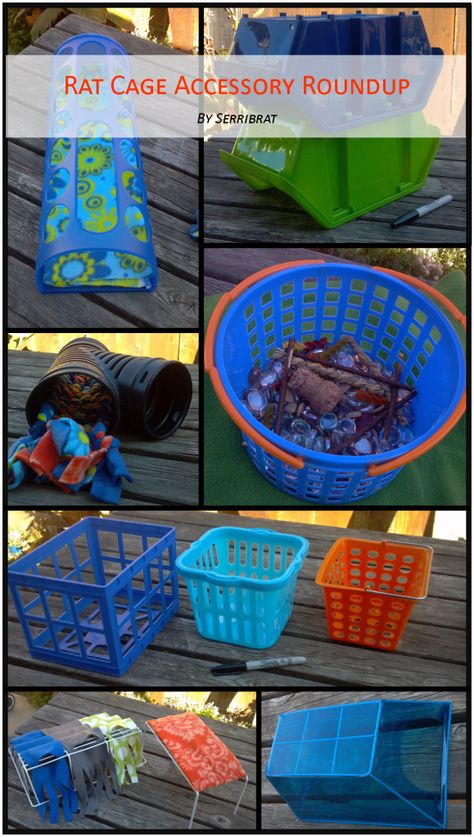 Good accessories for pet rat cage; low cost, easy to clean!  by serribrat Rat Cage Diy, Diy Rat Toys, Pet Rat Cages, Rat Cage Accessories, Rat Care, Ferret Toys, Rat House, Pet Rodents, Dumbo Rat