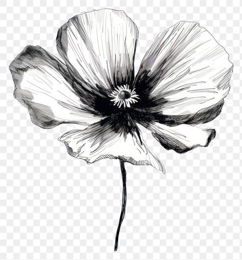 Flower Drawing Sketch, Poppy Sketch, Poppy Flower Drawing, Flower Black And White, Drawing Black And White, Poppy Drawing, Black Brush, Black Poppy, Drawing Black