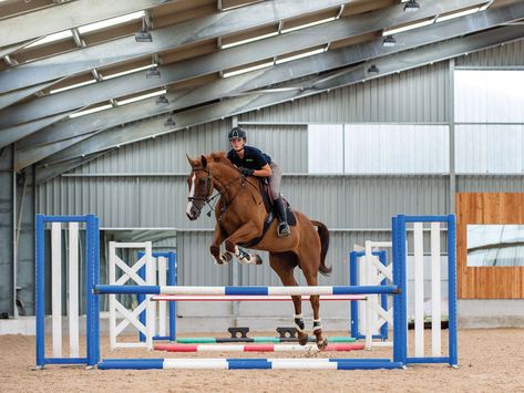 Emily King, Cross Country Jumps, Jump Training, Easy Exercise, Equestrian Aesthetic, Brown Horse, Horse Jumping, Show Jumping, Horse Rider