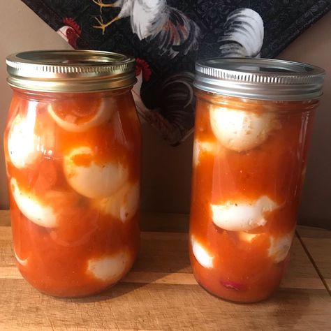 Smoky pickled flavour with mild heat Buffalo Pickled Eggs Recipe, Pickeled Eggs, Spicy Pickled Eggs, Pickled Quail Eggs, Live Off The Land, Cajun Boil, Pickled Eggs Recipe, Pickled Eggs, Laying Hens