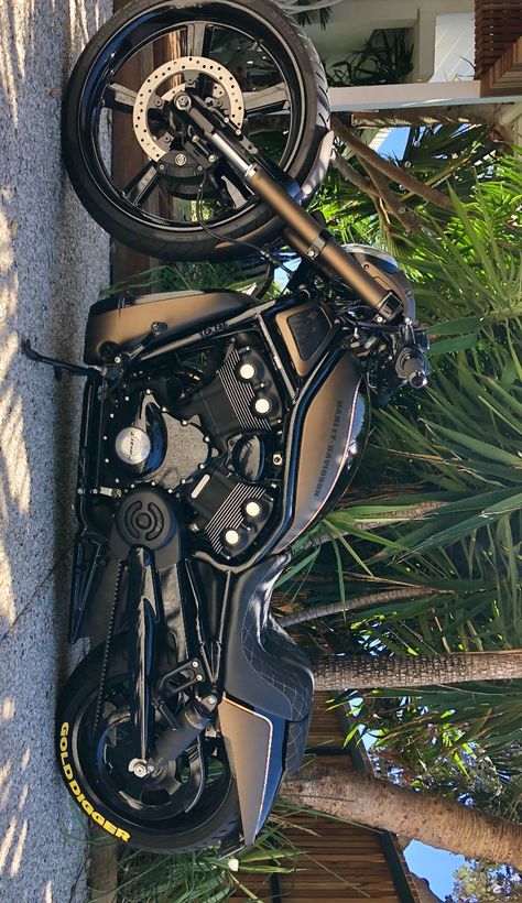 Muscle Motorcycles, Night Rod Custom, Harley Night Rod, Harley Davidson Custom Bike, Audi V8, Harley Davidson Night Rod, Harley Davidson Artwork, Custom Motorcycles Harley, Harley Davidson Wallpaper