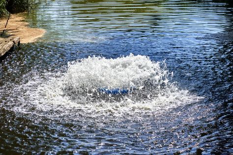 Pond aeration can help reduce the number of harmful pond bacteria, create a healthy environment for plants and fish, and reduce the number of algae in your pond. Learning how much aeration a pond needs is critical to making sure that you have a healthy pond. This article will tell you everything that you need to know to guarantee that you have proper aeration.  Factors Affecting the Size of Your Aeration System Different factors will affect the type of aeration system that you need. For ... Pond Aerator, Pond Fountains, Backyard Water Feature, Gallon Of Water, Living Water, Ponds Backyard, A Pond, Healthy Environment, Water Feature