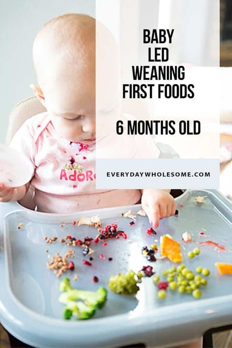 Blw Grocery List, 100 First Foods Blw, Starting Blw, Blw Tips, Fingerfood Baby, Baby Led Weaning First Foods, Weaning Foods, Baby Led Feeding, First Foods