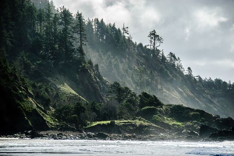 I shot this at Indian Beach, Ecola Park, just north of the town of Cannon Beach. If you ever on the Northern Oregon coast, I highly recommend visiting the park. The beaches are great, but don't miss the trails! There is almost 8 miles of trails running along the coast, often bringing out to vistas over looking the beach with 200 foot cliffs, old growth forest, etc. Simply spectacular. Washington State Hikes, Pacific Northwest Travel, The Oregon Trail, Into The West, Pacific Nw, Oregon Washington, Oregon Travel, Cannon Beach, Road Trip Itinerary