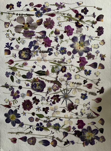 Wildflowers Aesthetic, Pressed Wildflowers, Pressed Flower Crafts, Flower Press, Flower Collage, Flowers Ideas, Pressed Flower Art, Purple Rain, Pressed Flower