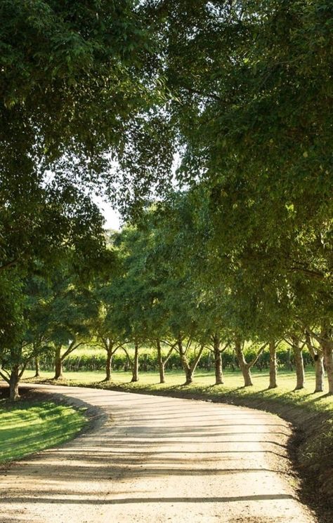 Rural Driveway, Large Yard Landscaping Ideas, Estate Driveway, Large Yard Landscaping, Recycling Furniture, Farm Landscaping, Soft Landscape, Belle Magazine, Driveway Entrance Landscaping