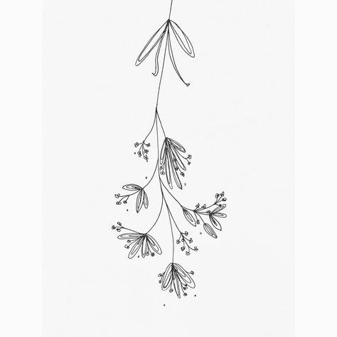 MGRobbinsDesigns. Mistletoe christmas inspiration illustration doodle drawing festive kisses simplistic minimalist black and white etsy botanical floral Christmas Floral Drawings, Black And White Christmas Drawings, Christmas Minimalist Drawing, Minimalist Floral Drawing, Mistletoe Drawing Simple, Minimalist Christmas Drawing, Christmas Cards Black And White, Christmas Botanical Illustration, Floral Illustrations Black And White