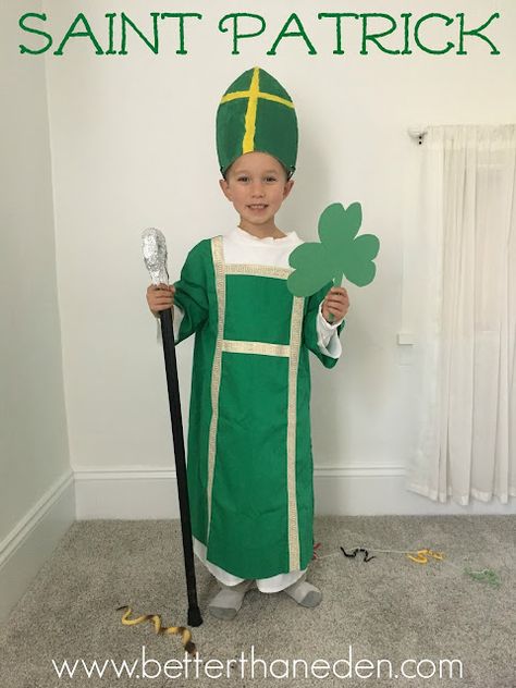 All Saints' Day Costumes and Party - 2016 St Patrick All Saints Day Costume, All Saints Day Costumes For Boys, Diy Saint Costume For Kids, Saint Costumes For Kids Catholic, Saints Costume, Bishop Hat, St Patricks Outfit, St Patrick's Day Kids, Saint Costume