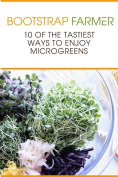 Micro Sprouts Recipes, Meals With Microgreens, Salad With Microgreens, How To Use Microgreens In Food, Recipes Using Microgreens, Microgreen Salad Recipe, Recipes For Microgreens, Microgreens Salad Recipe, Radish Microgreens Recipe