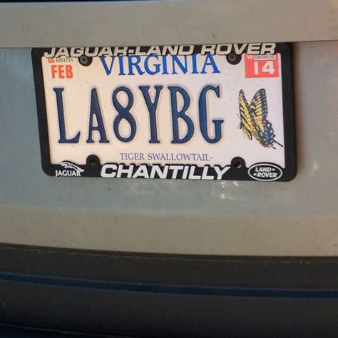 Lady Bug License Plate Ideas, Plate Ideas, Car Things, Car Deco, Girly Car, Pretty Cars, Car Interior Decor, Vw Bug, First Car