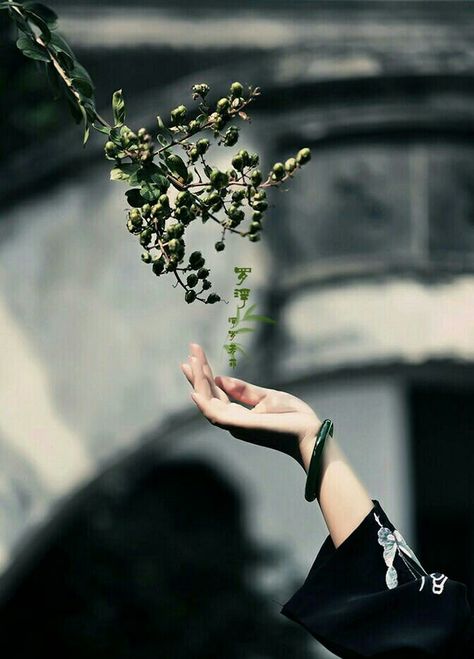 Grace Foster, Morgana Le Fay, Earth Powers, Hand Photography, Magic Aesthetic, Fantasy Story, Witch Aesthetic, Plant Powered, Fantasy Aesthetic