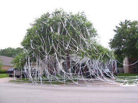 rolling a house up with toilet paper | Jessica R. Patch: Cheap Toilet Paper: It Has Its Benefits House Pranks, Slumber Party Activities, April Fools Joke, Texas Vacations, April Fool's Day, Good Pranks, Torrey Pines, Paper House, Practical Jokes