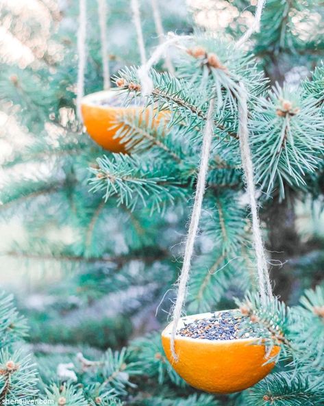 Unique Bird Feeders, Bird Seed Ornaments, Orange Ornaments, Recycled Crafts Kids, Homemade Bird Feeders, Diy Bird Feeder, Orange Bird, Holiday Crafts For Kids, Diy Birds