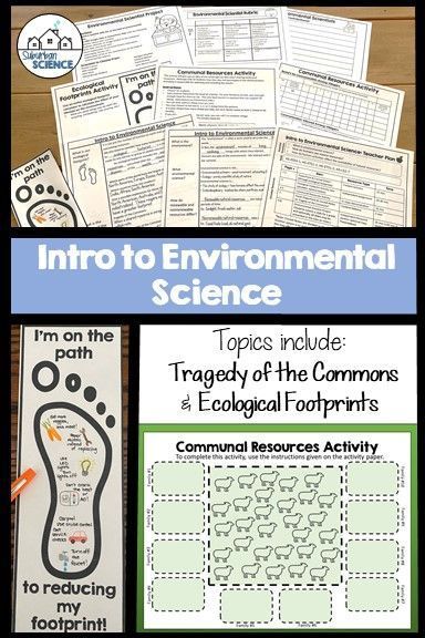 Environmental Science Classroom, Renewable And Nonrenewable Resources, Environmental Science Activities, Environmental Club, Ap Environmental Science, Science Textbook, High School Lesson Plans, Student Notes, Environmental Scientist