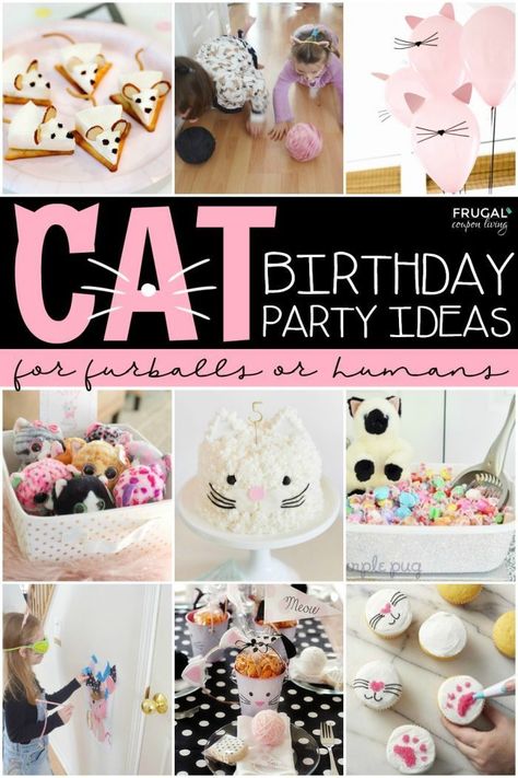 Don't be a furball! Throw a Purr-fectly planned Cat Birthday Party. Cattastic kitty party ideas for pets and their tiny humans.  Make a cat birthday hat, bake a cool cat cake, download a free cat printable, and find all the cat party decor you could need for your (fur or furless) loved one. #FrugalCouponLiving #catthemedbirtdhayparty #catbirthdayparty #catparty #kidsbirthdaypartyideas #catbirthdaypartyideas Cat Decorations Birthday, Troll Birthday Party Ideas, Cat Birthday Cakes, Kitty Cat Birthday Cake, Cat Cakes Birthday, Cat Birthday Party Ideas, Kitty Party Ideas, Cat Birthday Cake, Kitten Birthday Party