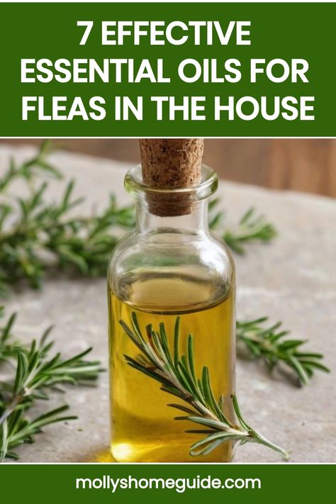 Discover natural ways to combat fleas in your home with the power of essential oils. Whether through a diffuser or homemade spray, essential oils such as lavender, peppermint, and cedarwood can effectively repel fleas while infusing your space with refreshing scents. Embrace the benefits of using essential oils for a flea-free home and create a relaxing environment for you and your pets. Say goodbye to harsh chemicals and pesky fleas by incorporating these natural solutions into your cleaning ro Essential Oils For Fleas, Oil Image, Flea Remedies, Flea Repellent, Flea Spray, Relaxing Environment, Homemade Essential Oil, Cedarwood Oil, Essential Oil Mixes