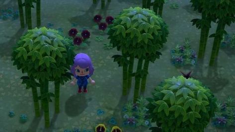 Animal Crossing Bamboo: How to get Bamboo Pieces, Bamboo Shoots and Young Spring Bamboo in New Horizons • Eurogamer.net Bamboo Shoot, Growing Bamboo, Tree Growth, Bamboo Stalks, Easter Event, Bamboo Shoots, Bamboo Tree, Garden Animals, Bamboo Plants