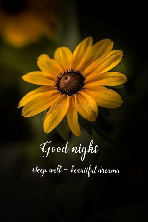 Good Night Have Sleep - DesiComments.com Sweet Dreams Sleep Tight, Good Night Sleep Well, Good Night Love Quotes, Good Night Images, Beautiful Good Night Images, Good Night Flowers, Good Night Love Images, Cute Good Night, Good Morning Beautiful Pictures