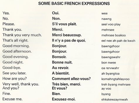 Simple French Learn French Beginner, French Basics, Learn To Speak French, French Alphabet, French Flashcards, Basic French, Basic French Words, Learning Languages Tips, French Language Lessons